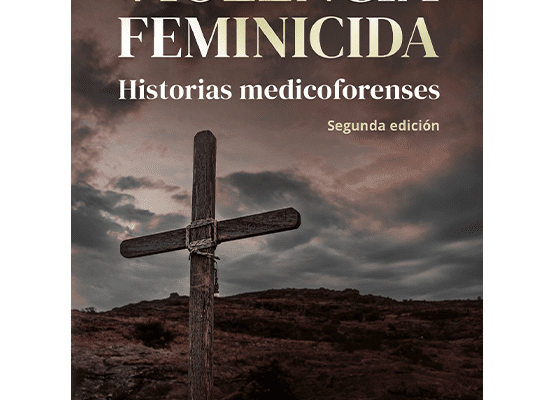 Violencia feminicida (Jorge Olivares Peña)