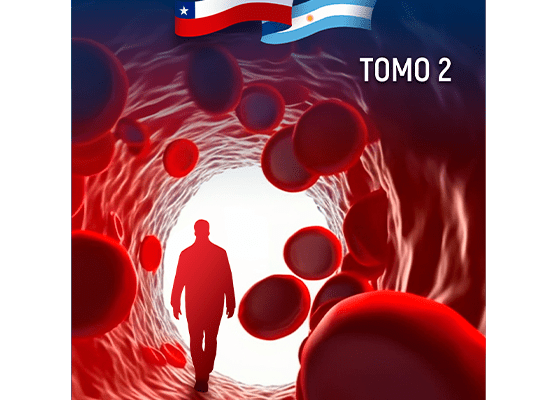 Portada-La búsqueda Tomo 2