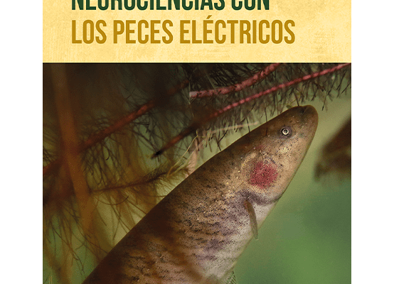 peces eléctricos