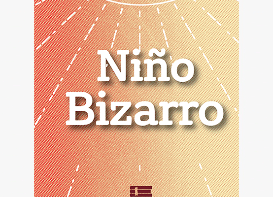 Libro Niño bizarro, memorias inspiradoras de Mesías Salvador Izquierdo.