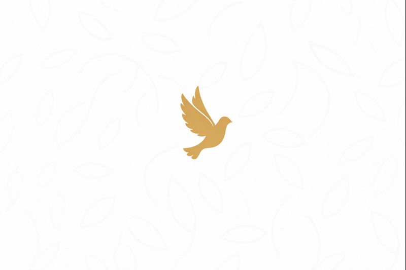 En Mi historia entre tus manos, Dora Elia Segura comparte cómo la fe en Dios transformó su vida, sanó sus heridas y le dio un propósito eterno.