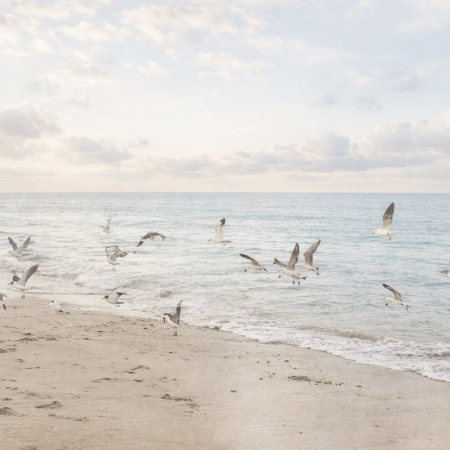 Entre cuentos, ensayos y poesía: literatura y vida en diálogo