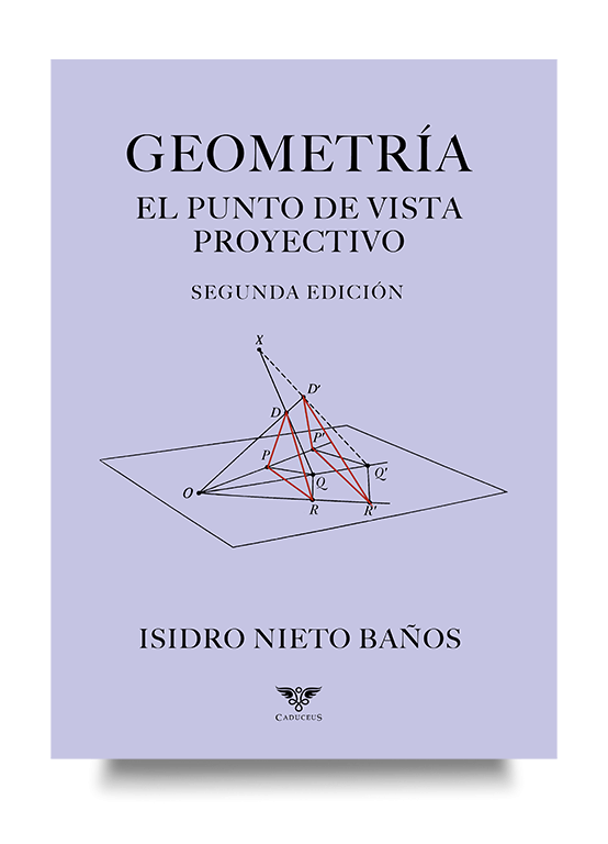 Una introducción progresiva al estudio del plano proyectivo y sus principales conceptos. Portada de Geometría: El punto de vista proyectivo, libro sobre el plano proyectivo.